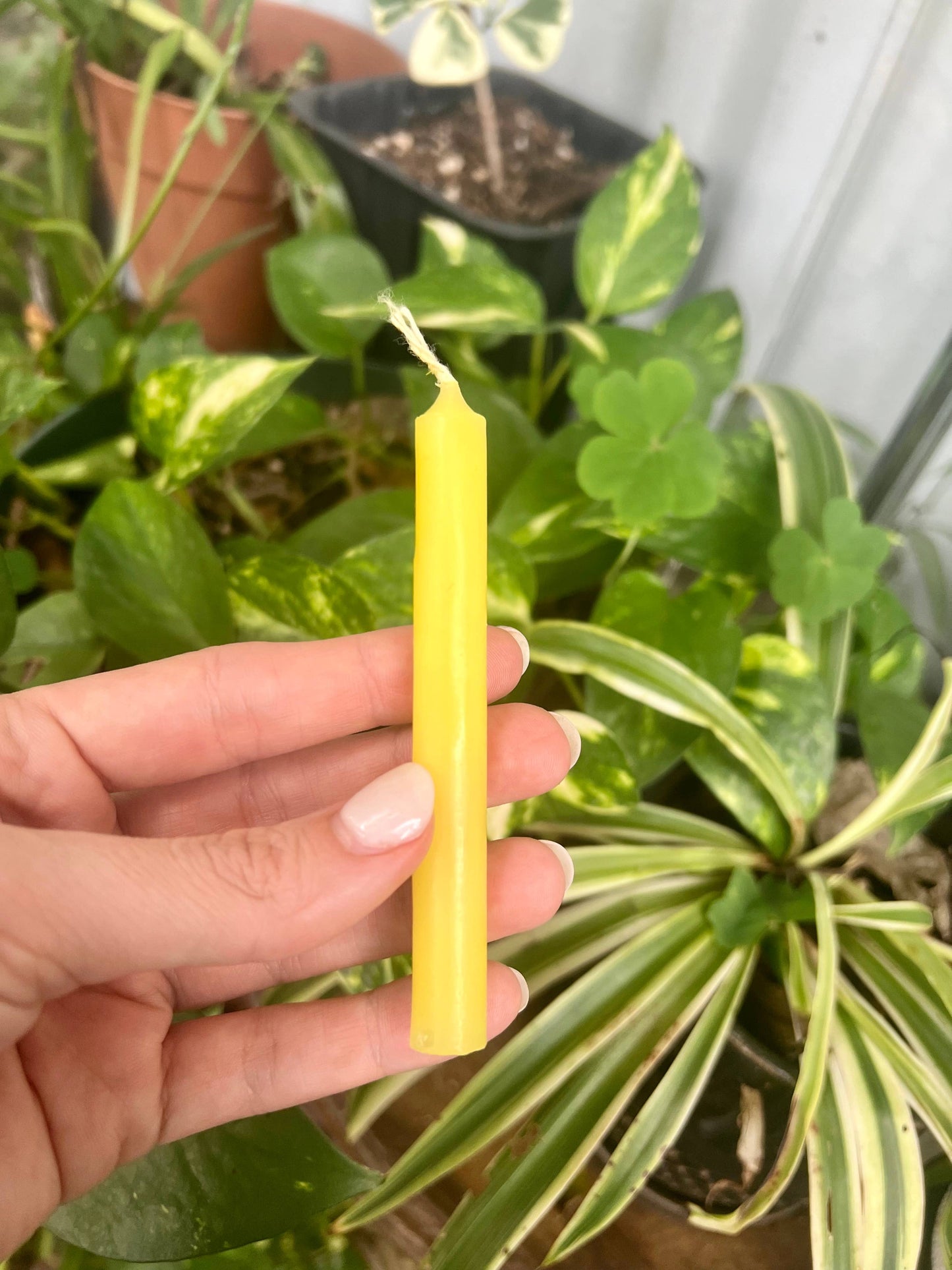 Road Opener Spell Kit- Abundance, Clarity & Growth