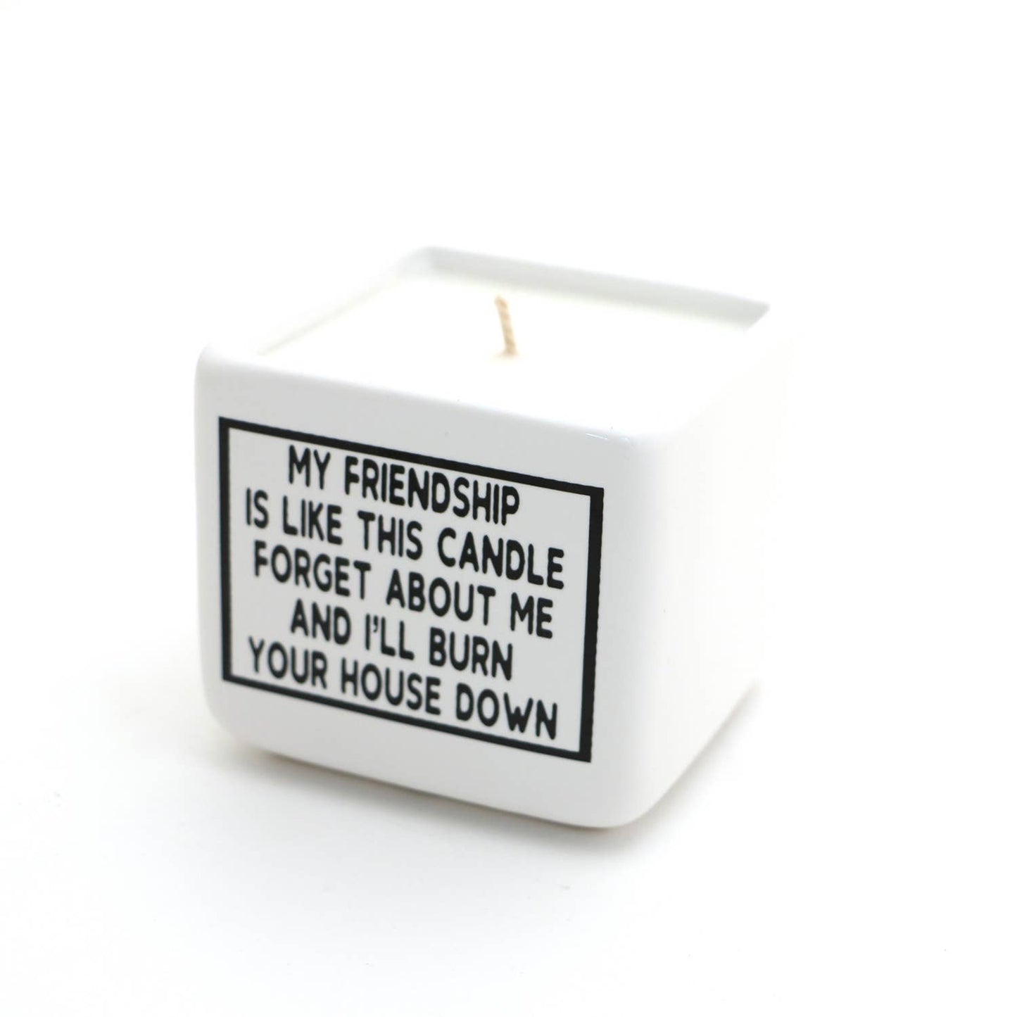 Hand poured 8 oz. soy unscented candle, My Friendship, funny