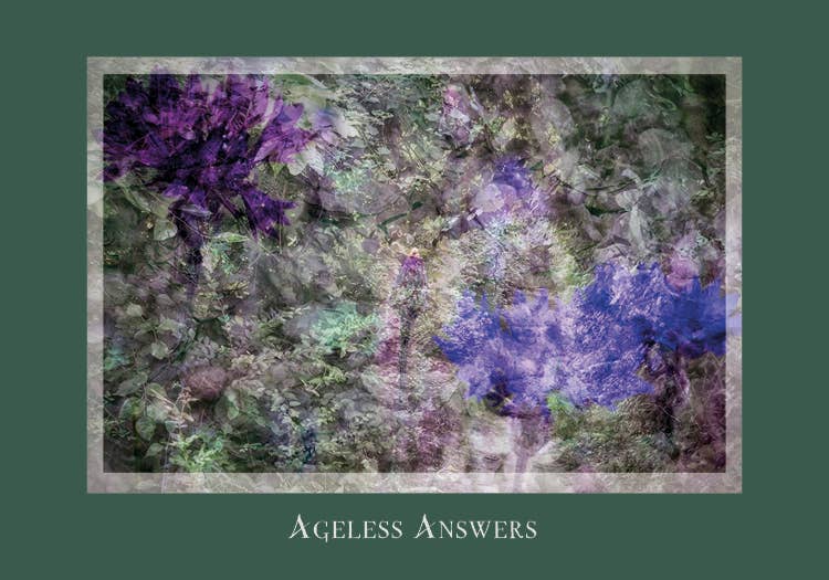 Gaia's Vision Oracle Cards
