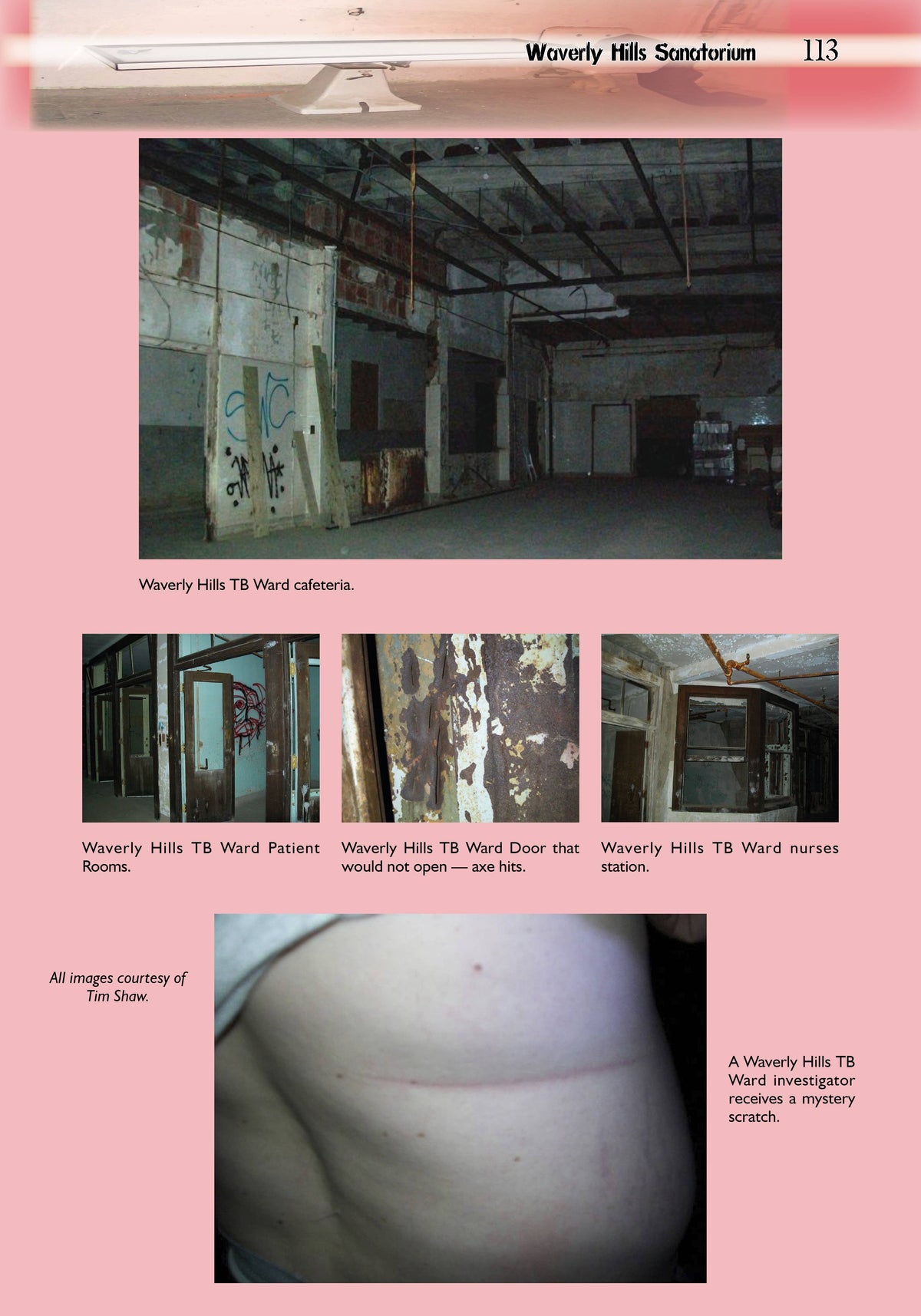 Haunted Asylums