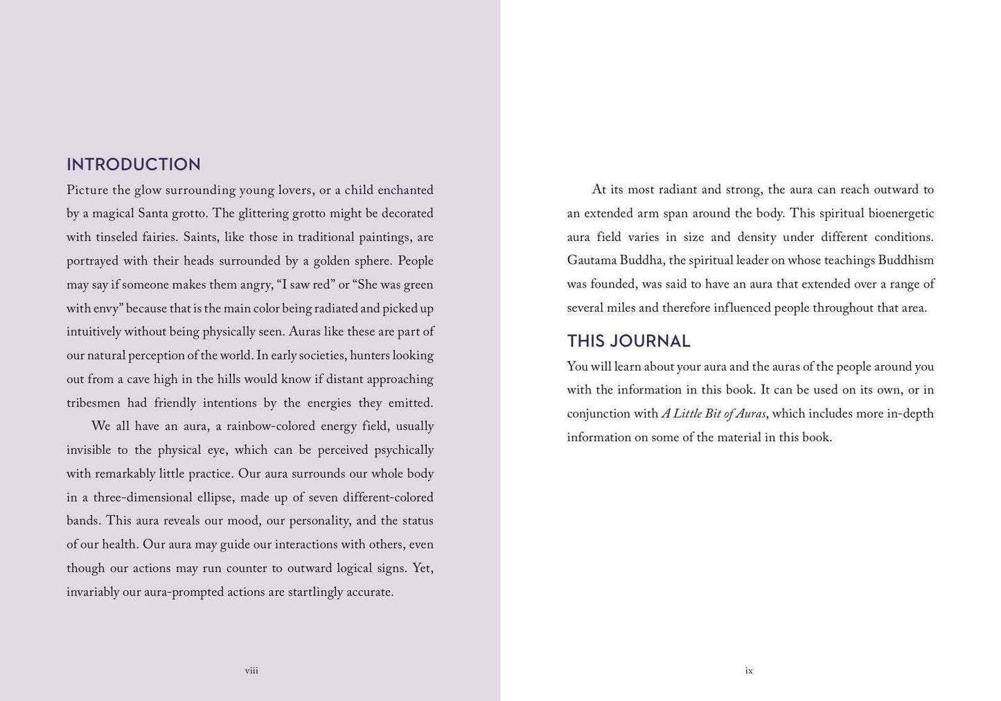 Little Bit of Auras Guided Journal