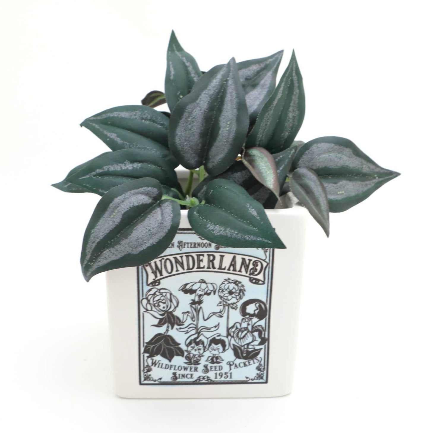 Alice in Wonderland, indoor planter, container