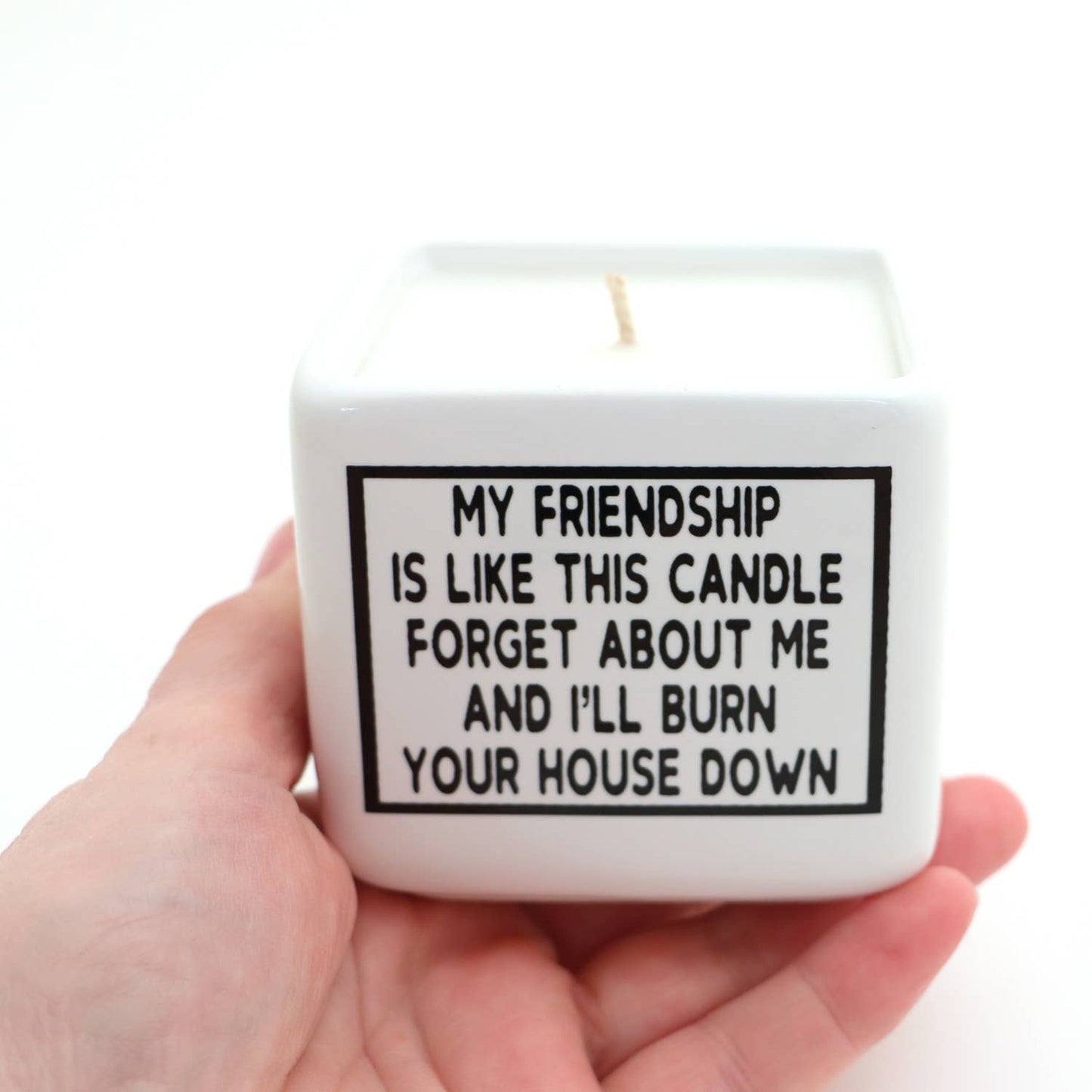 Hand poured 8 oz. soy unscented candle, My Friendship, funny