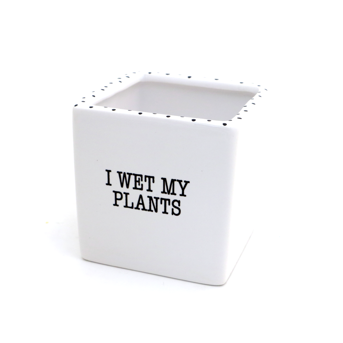 I Wet my Plants planter, pencil cup, square pot