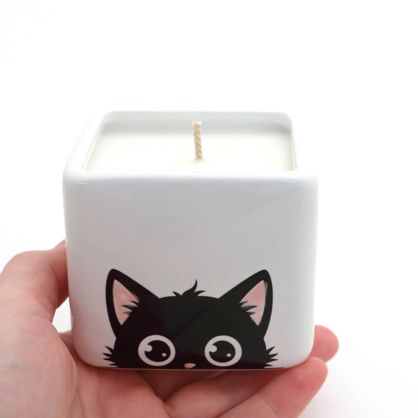 Hand poured 8 oz. soy unscented candle, Black Cat