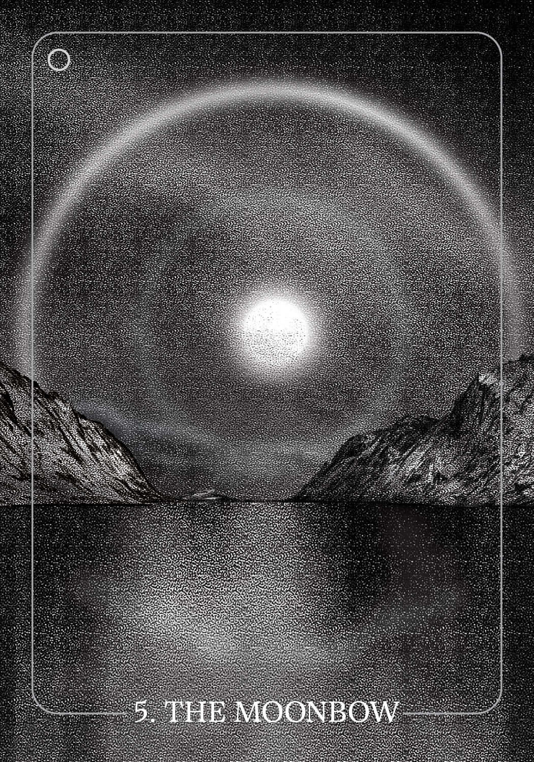 The Bloodlands Oracle