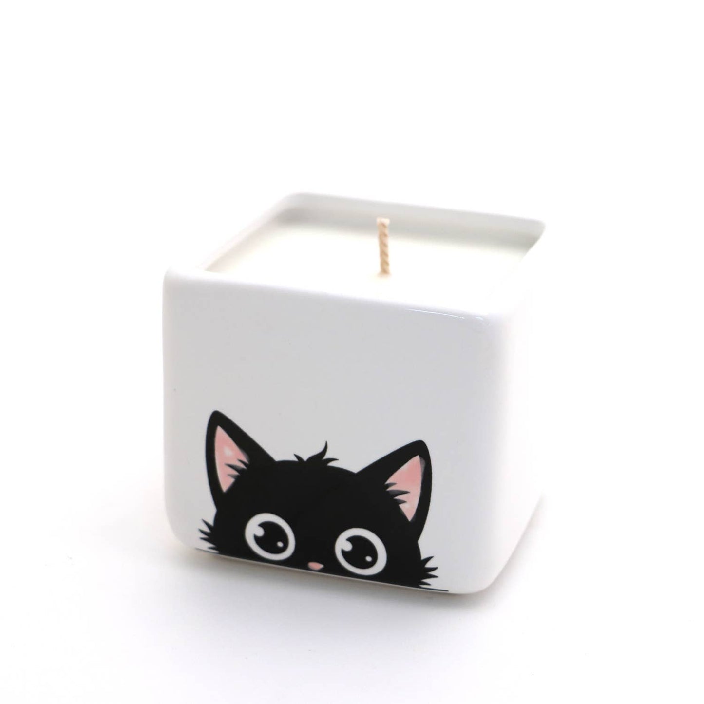 Hand poured 8 oz. soy unscented candle, Black Cat